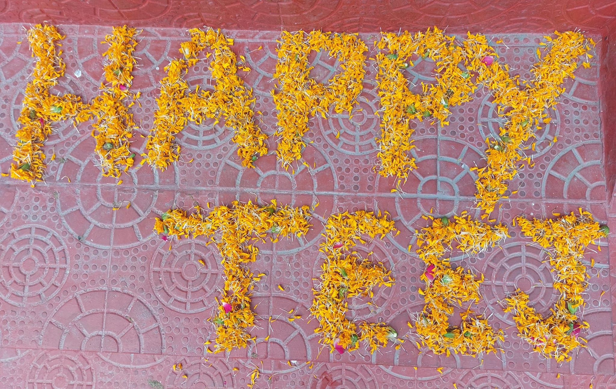 Vardhman International School